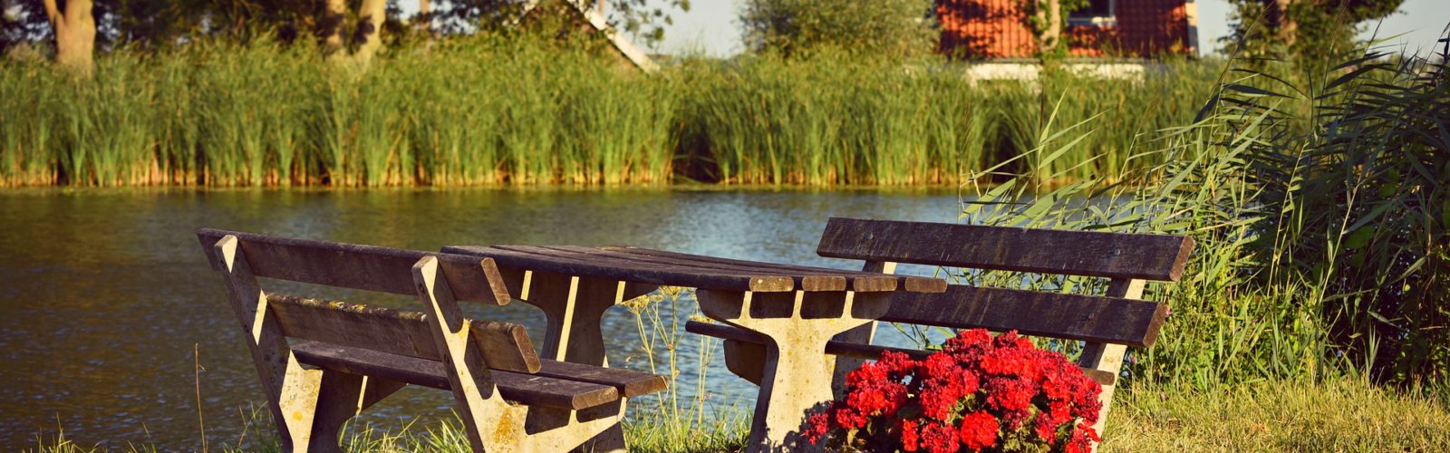 picnic table by the river