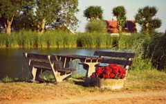 picnic table by the river