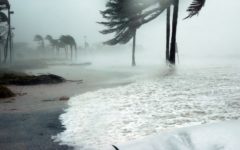 Hurricane